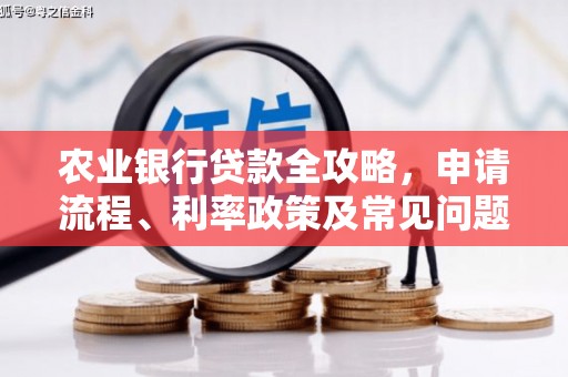 天祝农业银行贷款全攻略，申请流程、利率政策及常见问题解析