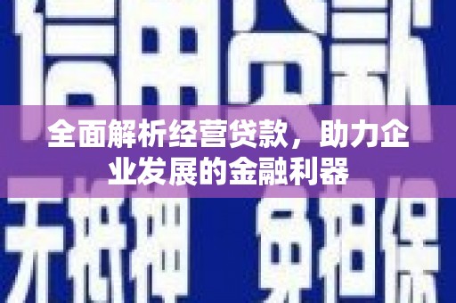天祝全面解析经营贷款，助力企业发展的金融利器