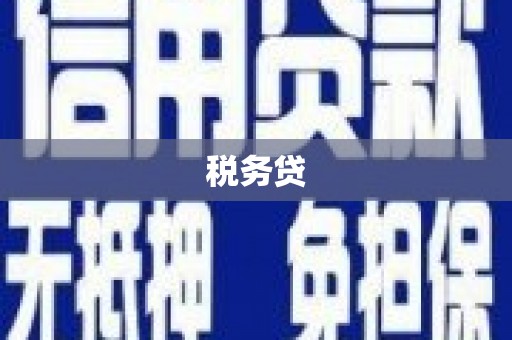 天祝税务贷