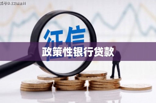 天祝政策性银行贷款