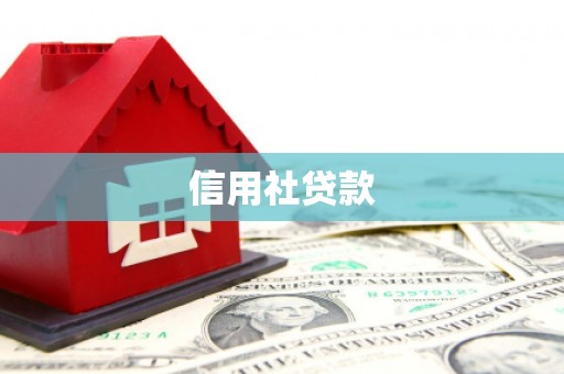 天祝信用社贷款