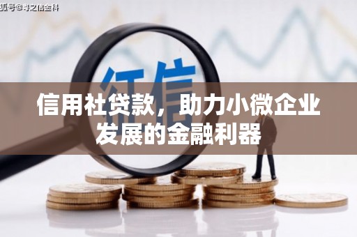 天祝信用社贷款，助力小微企业发展的金融利器