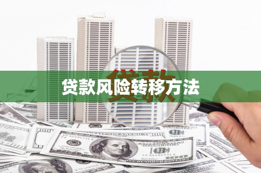 天祝贷款风险转移方法