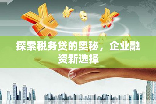 天祝探索税务贷的奥秘，企业融资新选择