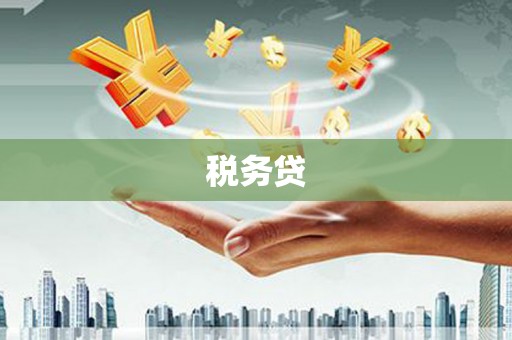天祝税务贷