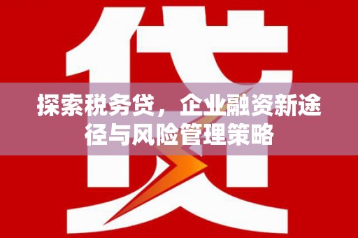 天祝探索税务贷，企业融资新途径与风险管理策略