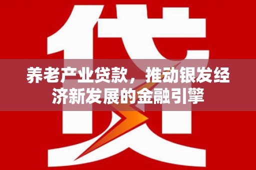 天祝养老产业贷款，推动银发经济新发展的金融引擎