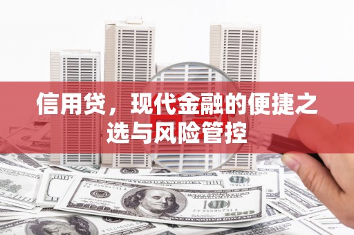 天祝信用贷，现代金融的便捷之选与风险管控