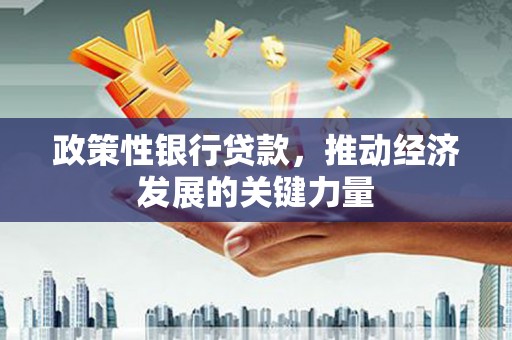 天祝政策性银行贷款，推动经济发展的关键力量