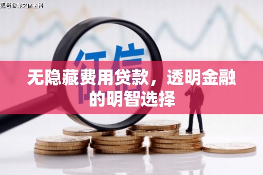 天祝无隐藏费用贷款，透明金融的明智选择
