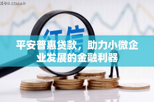 天祝平安普惠贷款，助力小微企业发展的金融利器