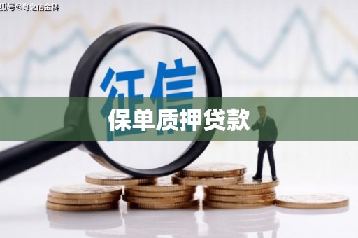 天祝保单质押贷款