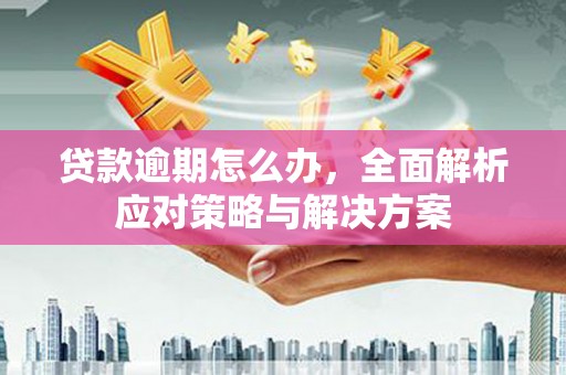 天祝贷款逾期怎么办，全面解析应对策略与解决方案