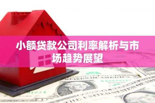 天祝小额贷款公司利率解析与市场趋势展望