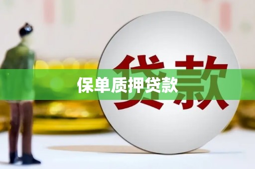 天祝保单质押贷款