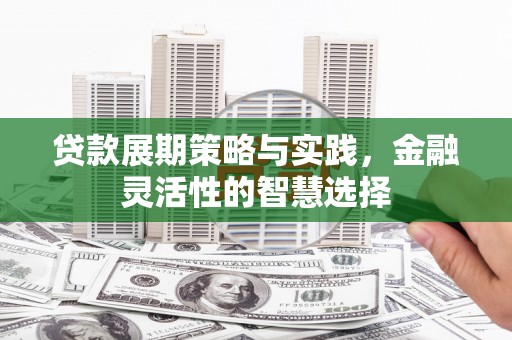 天祝贷款展期策略与实践，金融灵活性的智慧选择