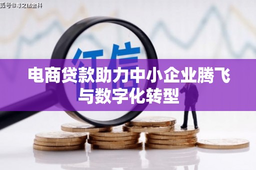 天祝电商贷款助力中小企业腾飞与数字化转型