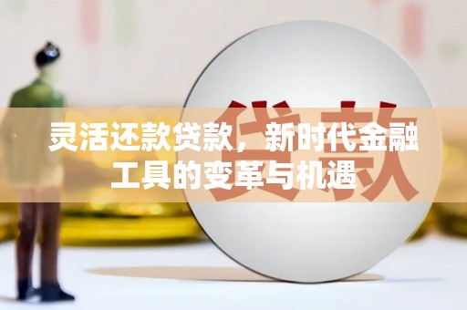 天祝灵活还款贷款，新时代金融工具的变革与机遇