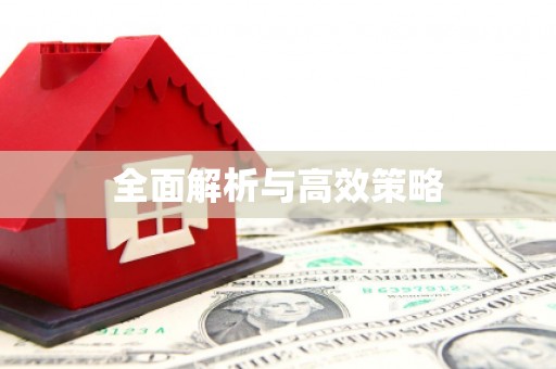 天祝全面解析与高效策略