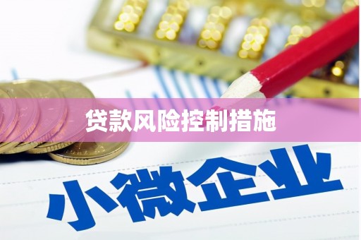 天祝贷款风险控制措施